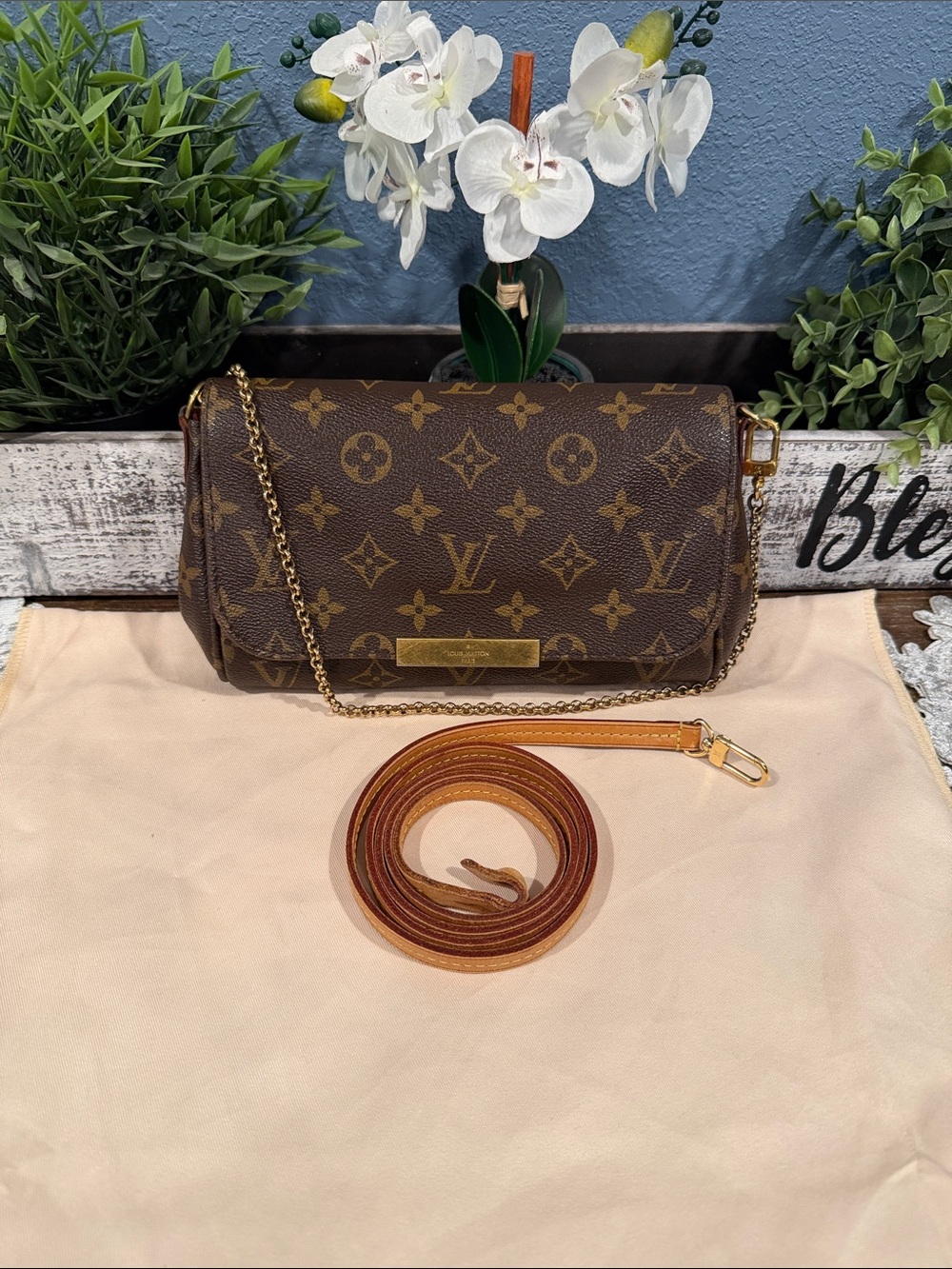 Authentic Louis Vuitton Favorite PM